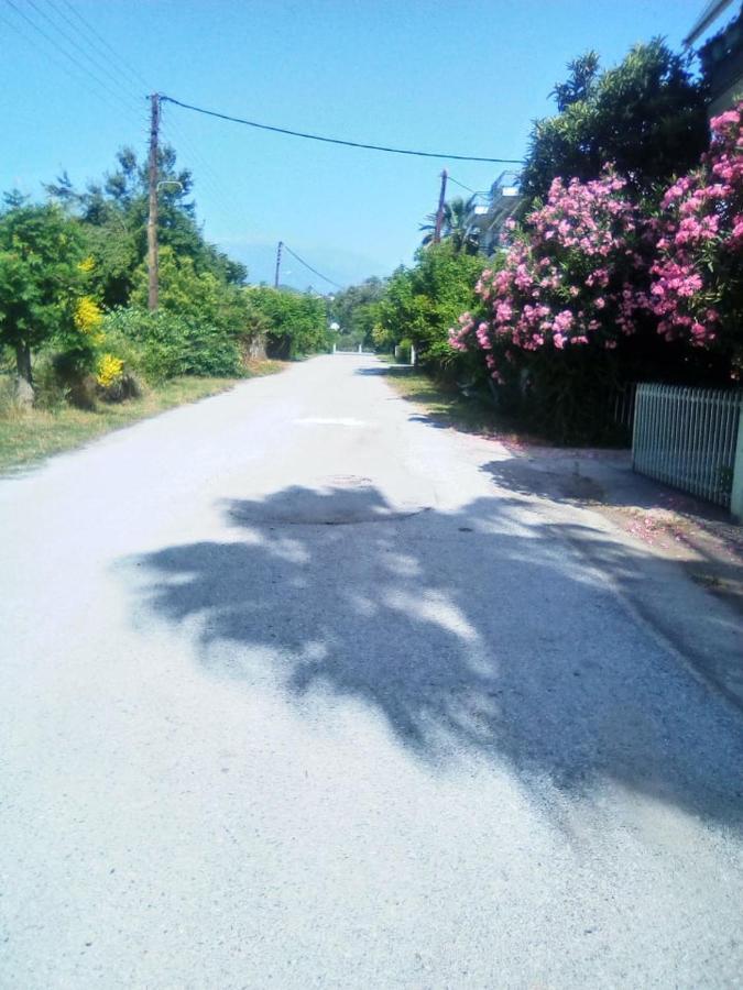 Little Beauty - Happyhostgr - In Platamonas公寓 外观 照片